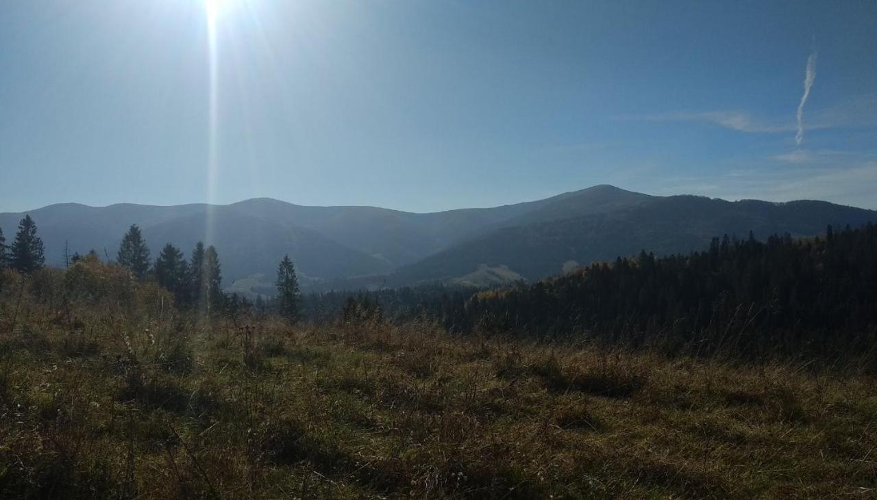 У Медовому Раю Villa Rostoka  Buitenkant foto