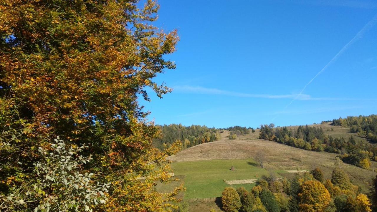 У Медовому Раю Villa Rostoka  Buitenkant foto