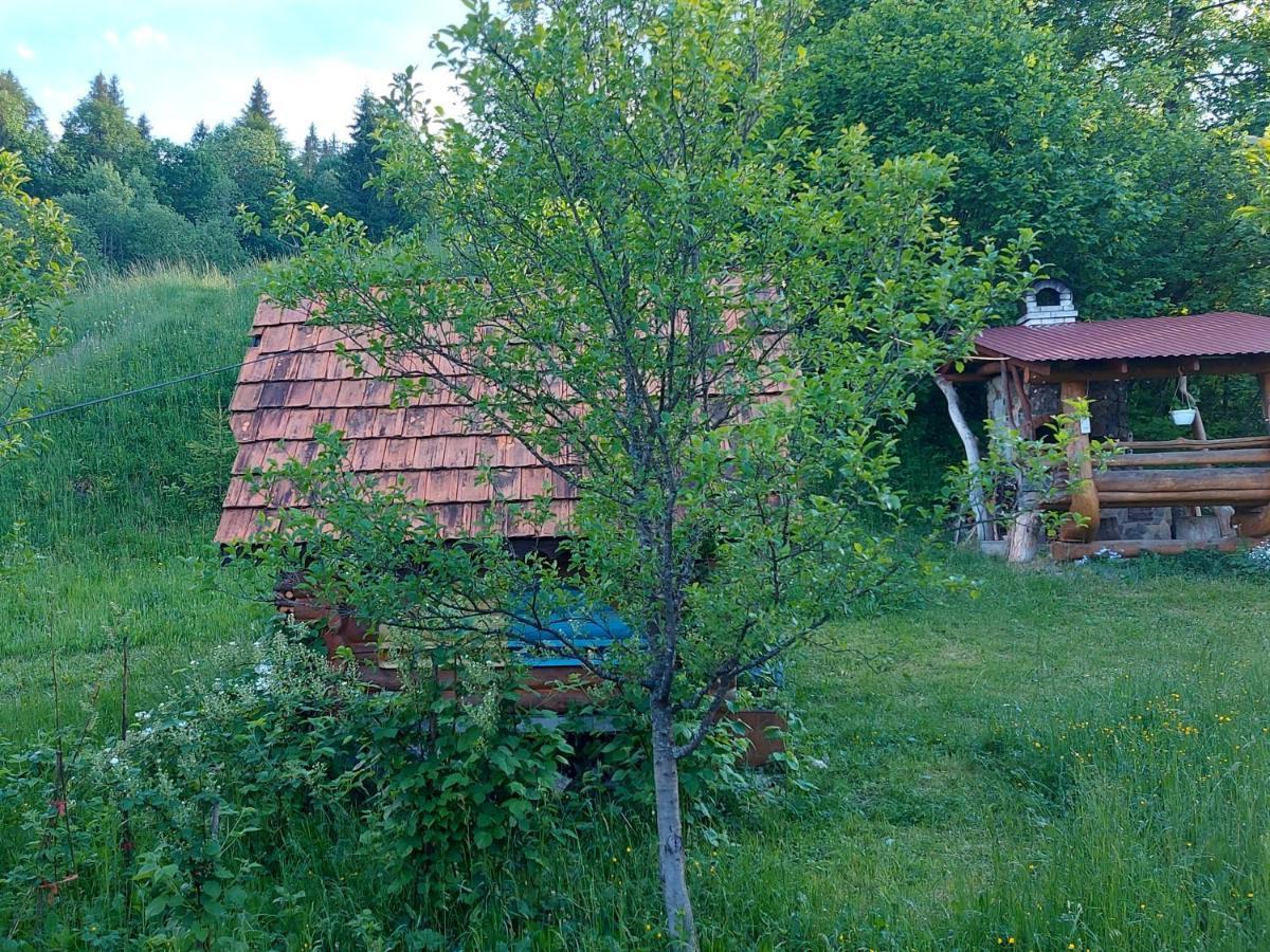 У Медовому Раю Villa Rostoka  Buitenkant foto