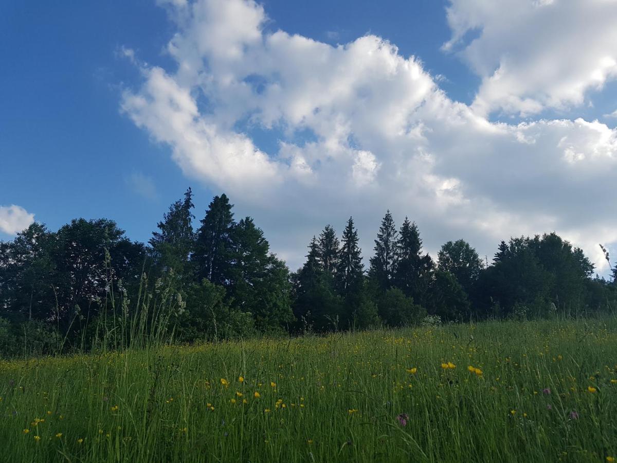 У Медовому Раю Villa Rostoka  Buitenkant foto