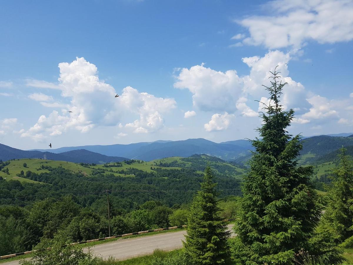 У Медовому Раю Villa Rostoka  Buitenkant foto