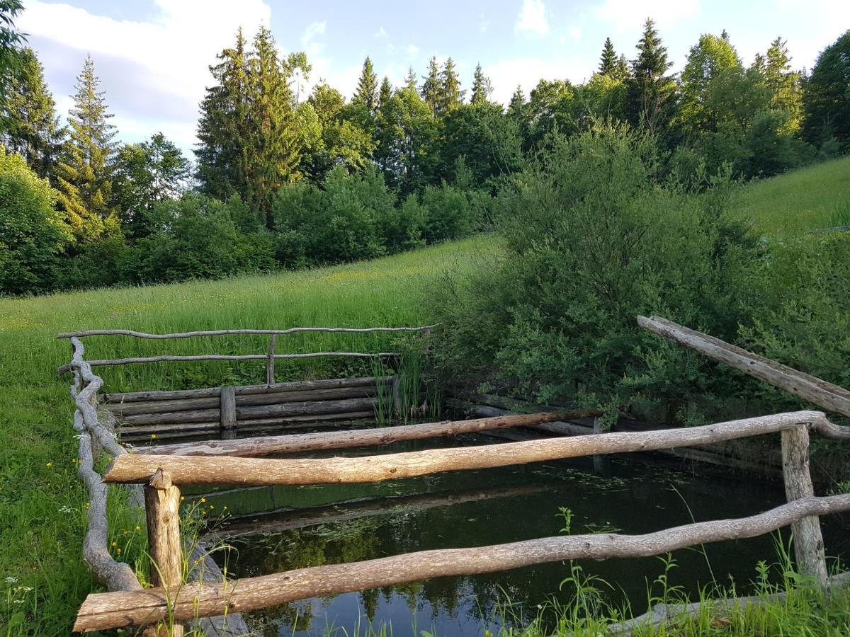 У Медовому Раю Villa Rostoka  Buitenkant foto